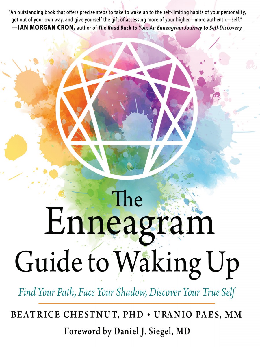 The Enneagram Guide to Waking Up image 0