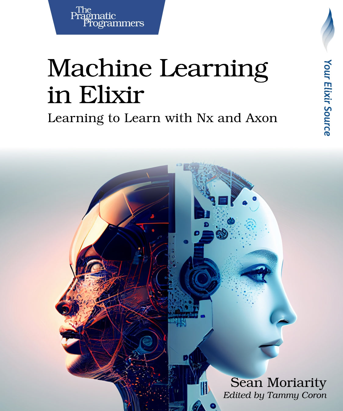 Machine Learning in Elixir image 0