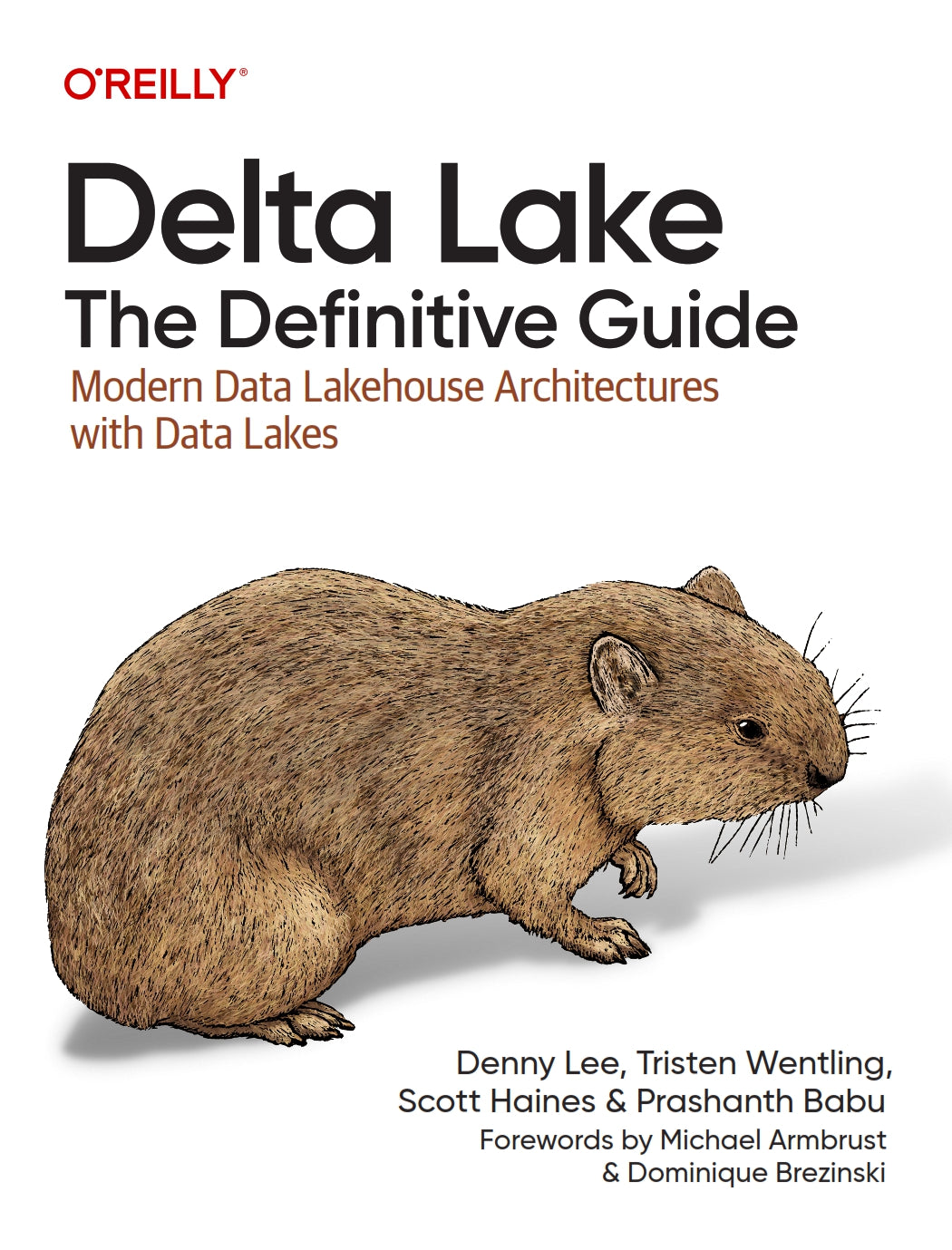 Delta Lake, The Definitive Guide image 0