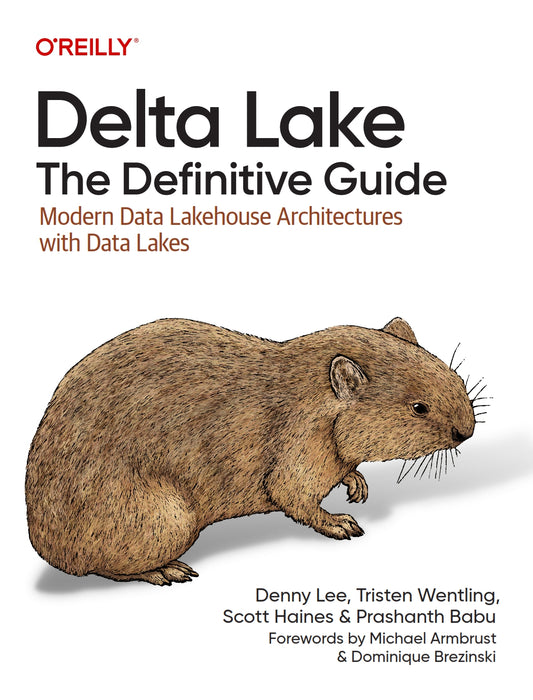 Delta Lake, The Definitive Guide image 0