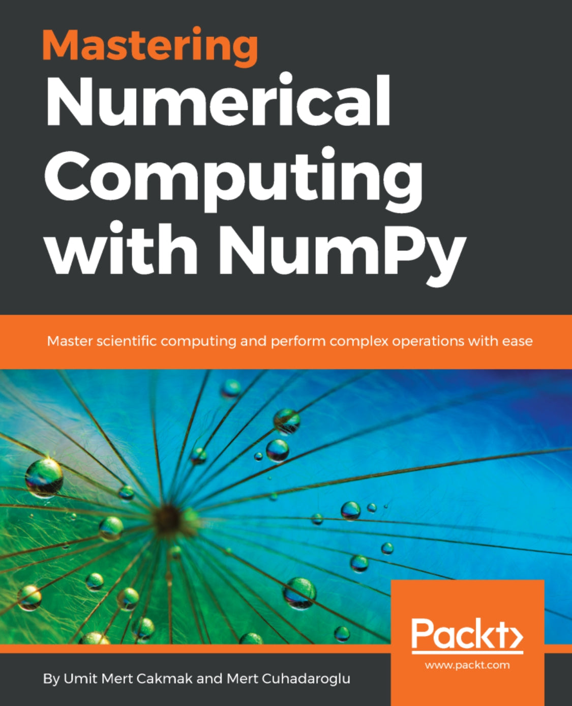 Mastering Numerical Computing with NumPy image 0