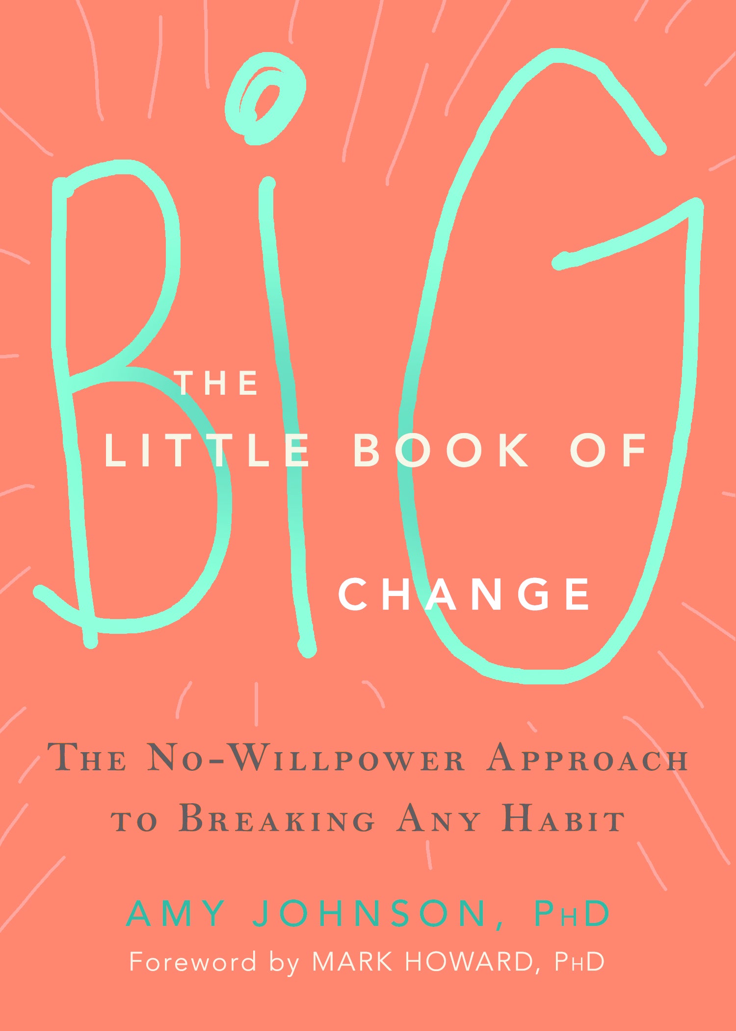 The Little Book of Big Change image 0