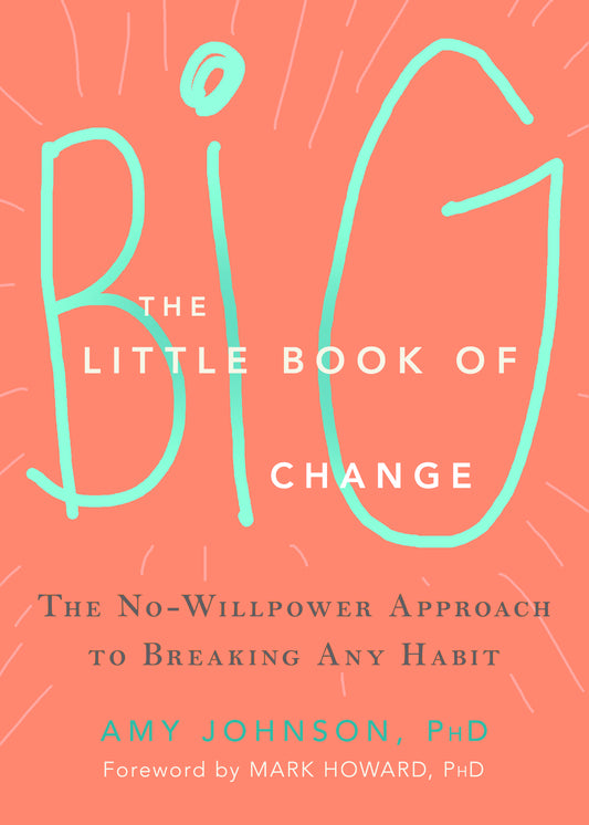 The Little Book of Big Change image 0