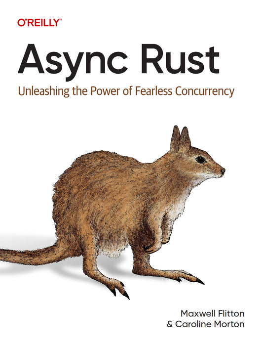 Async Rust image 0