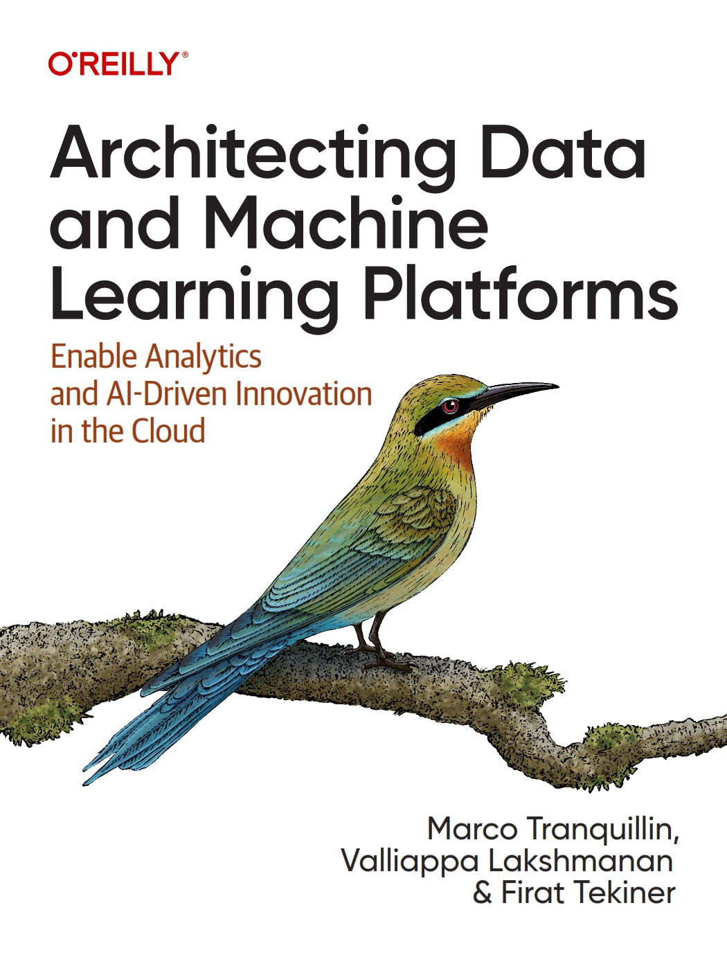 Architecting Data and Machine Learning Platforms image 0