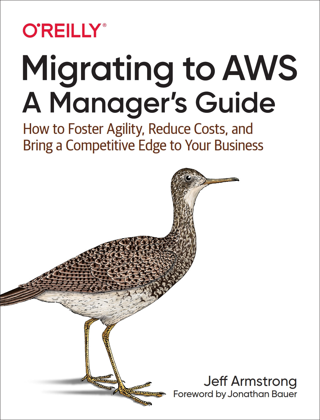 Migrating to AWS, A Manager’s Guide image 0