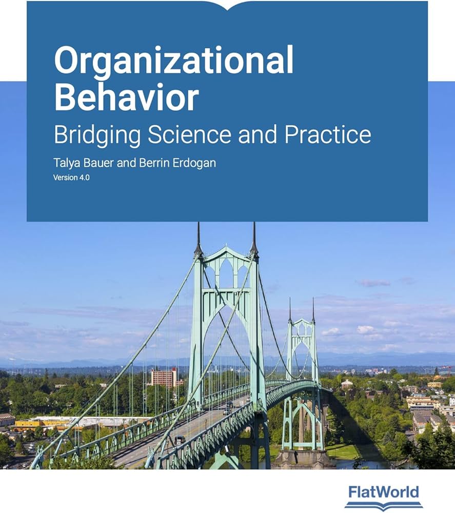 Organizational Behavior, Bridging Science and Practice image 0