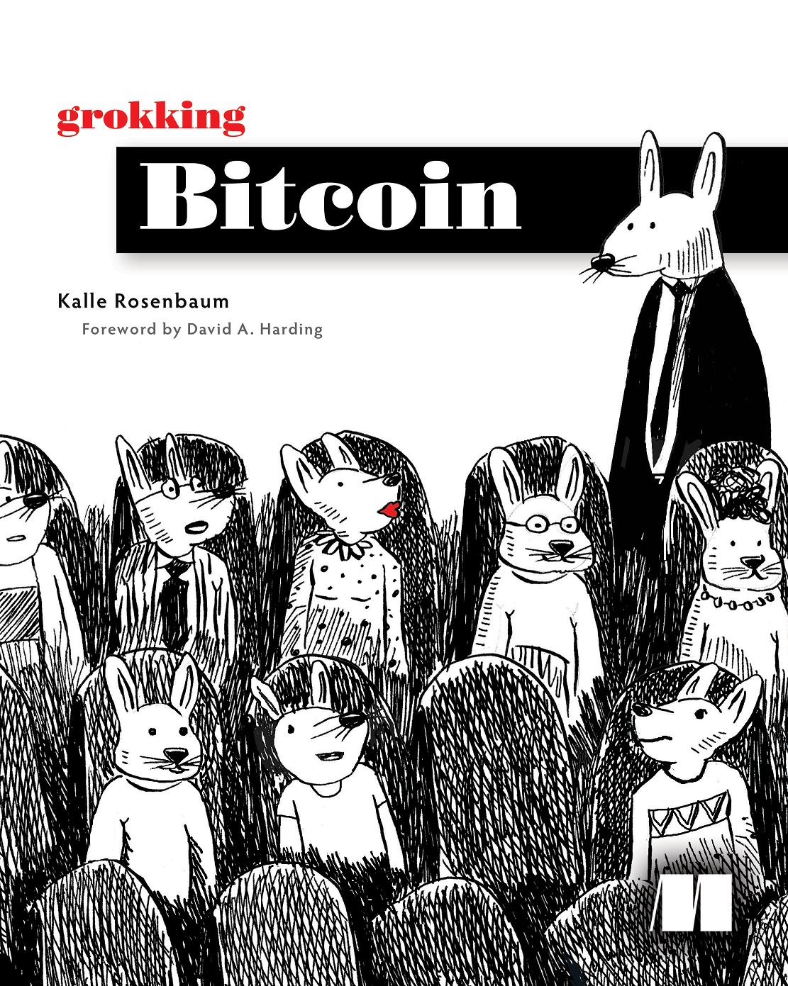 Grokking Bitcoin image 0