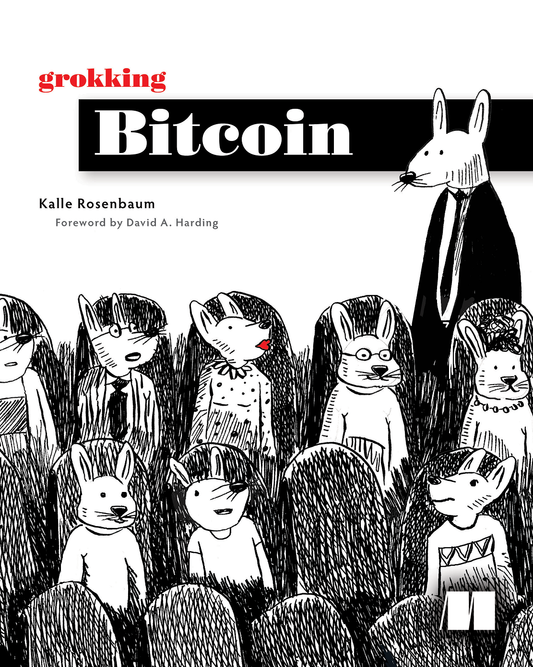 Grokking Bitcoin image 0
