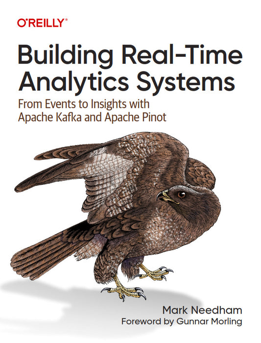 Building Real-Time Analytics Systems image 0