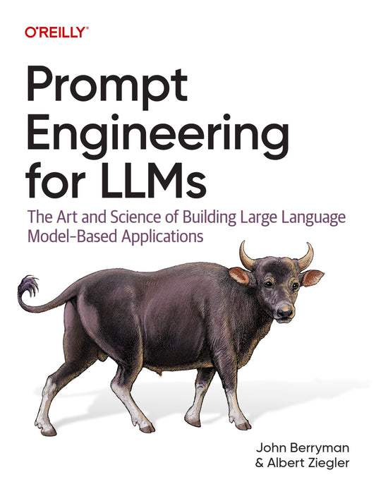Prompt Engineering for LLMs image 0