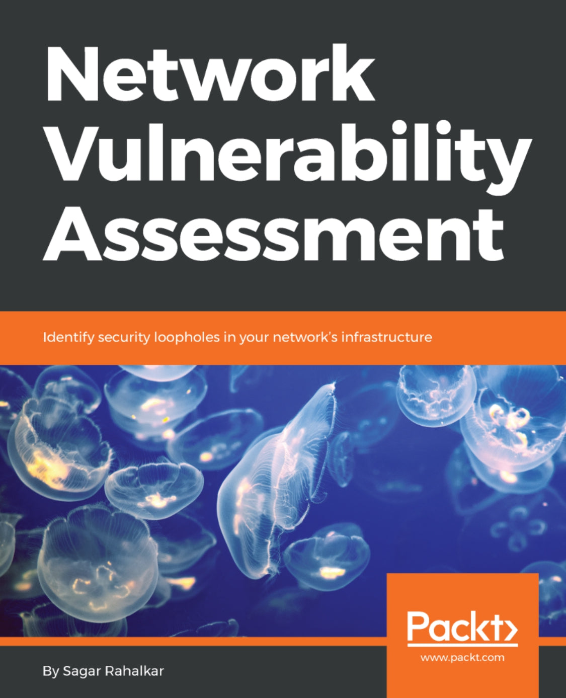 Network Vulnerability Assessment image 0