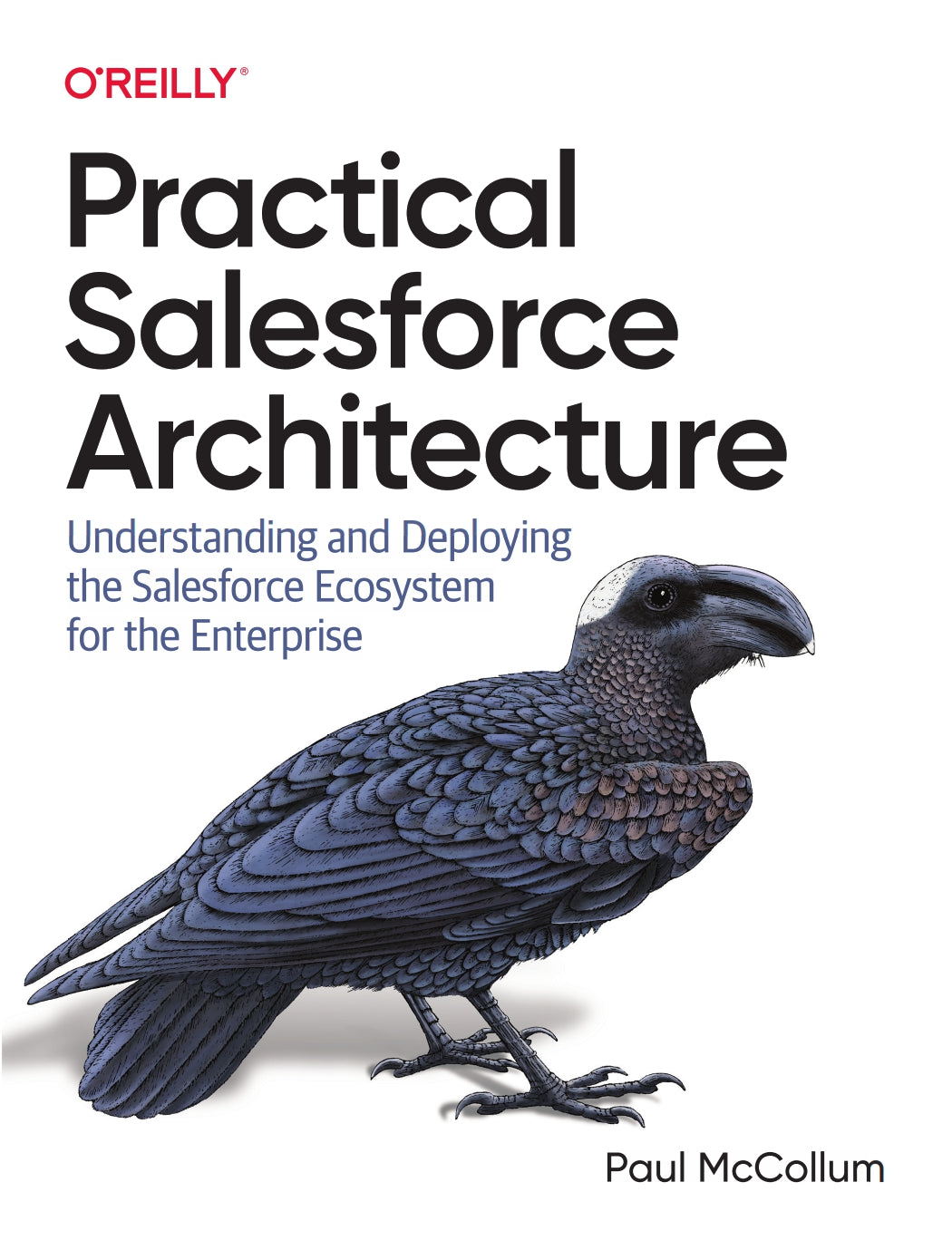 Practical Salesforce Architecture image 0