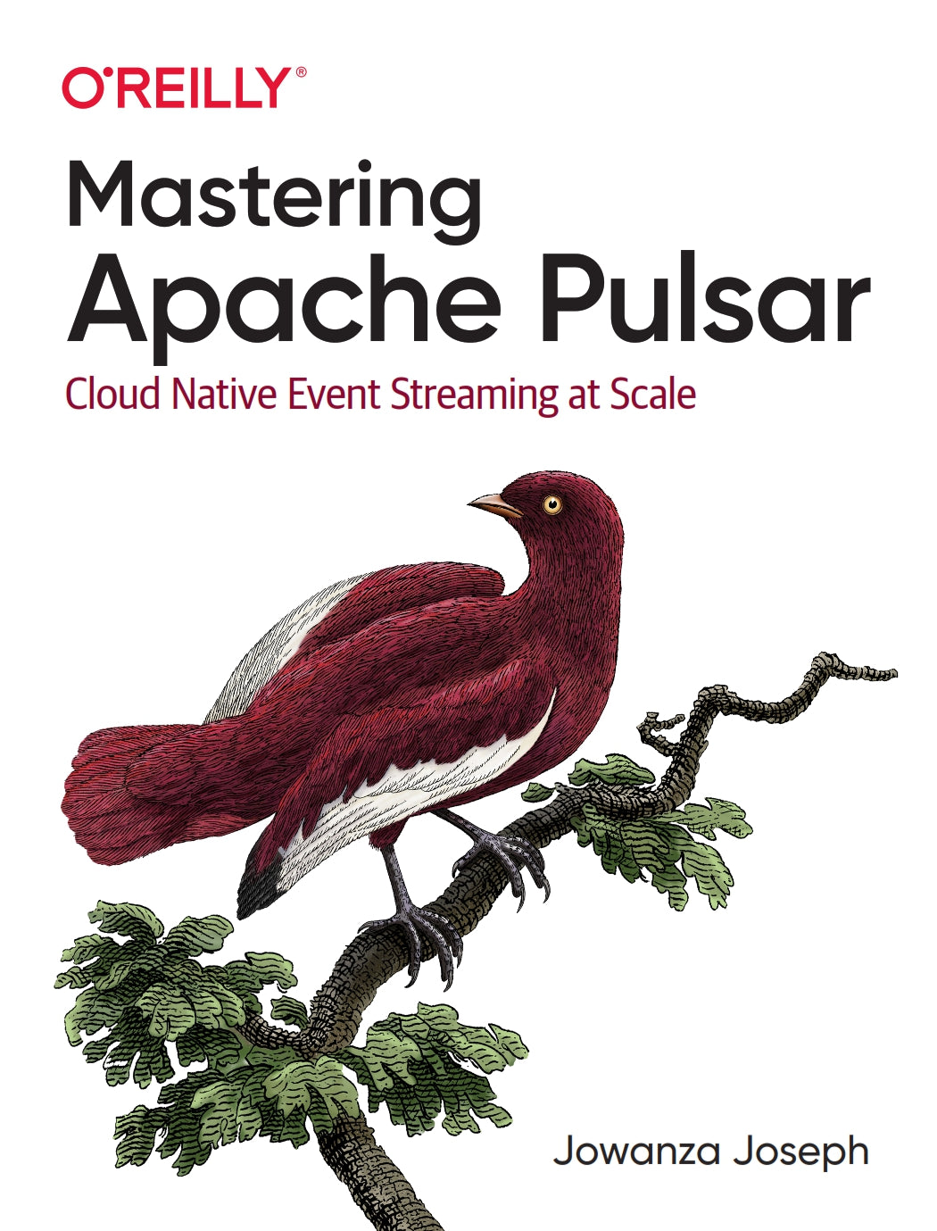Mastering Apache Pulsar image 0