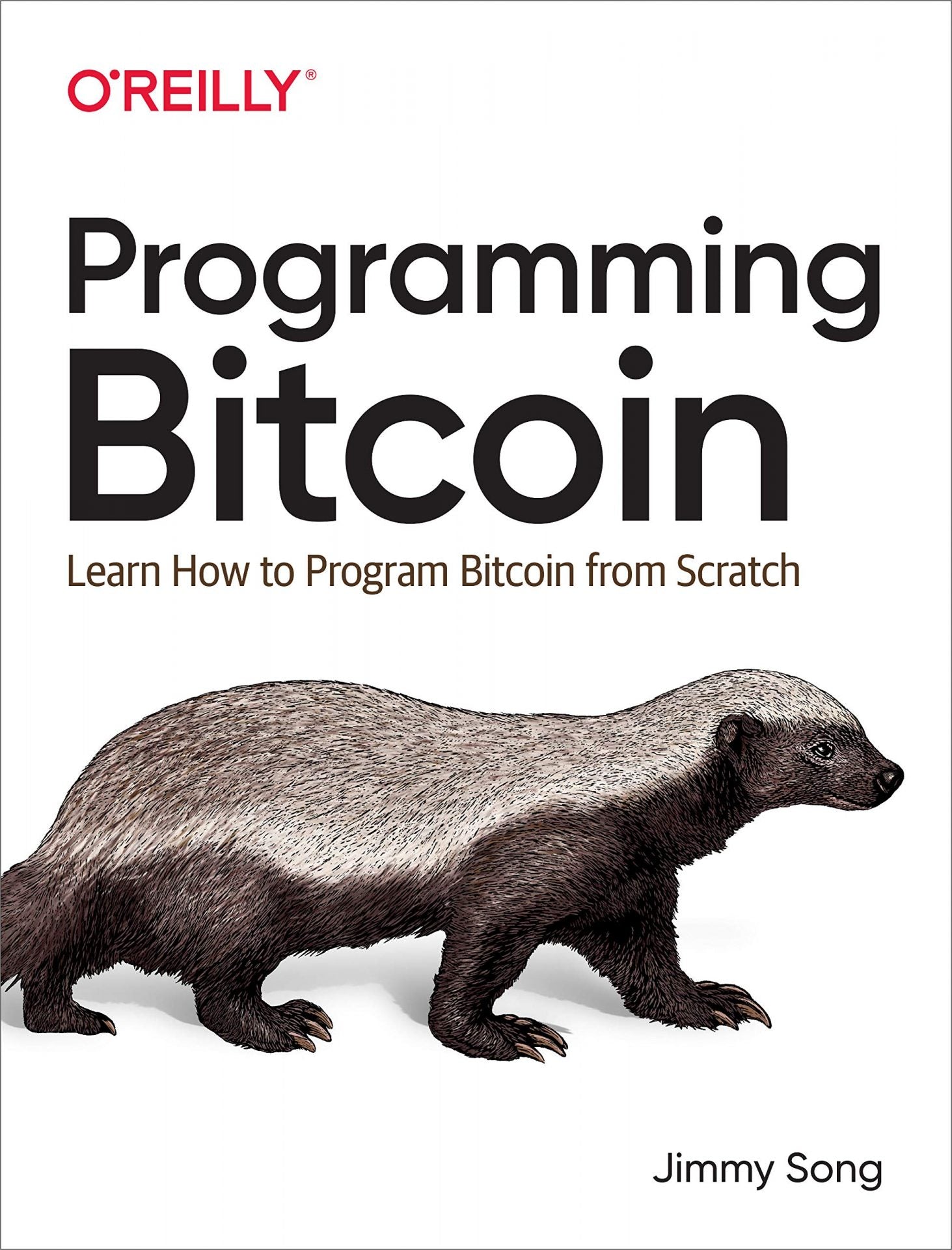 Programming Bitcoin image 0
