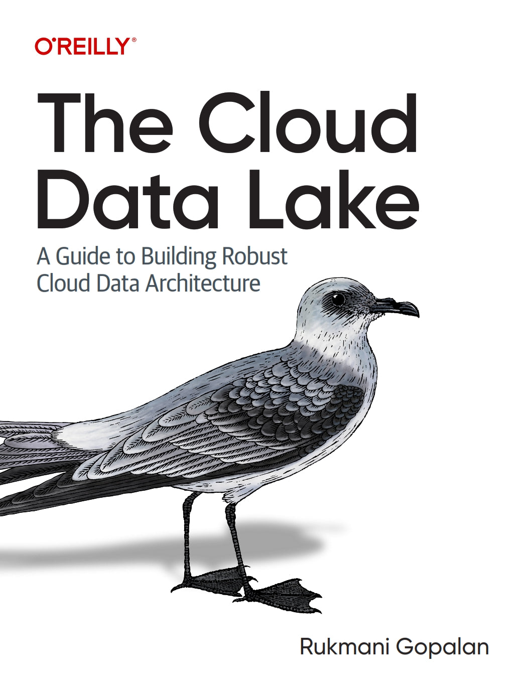 The Cloud Data Lake image 0