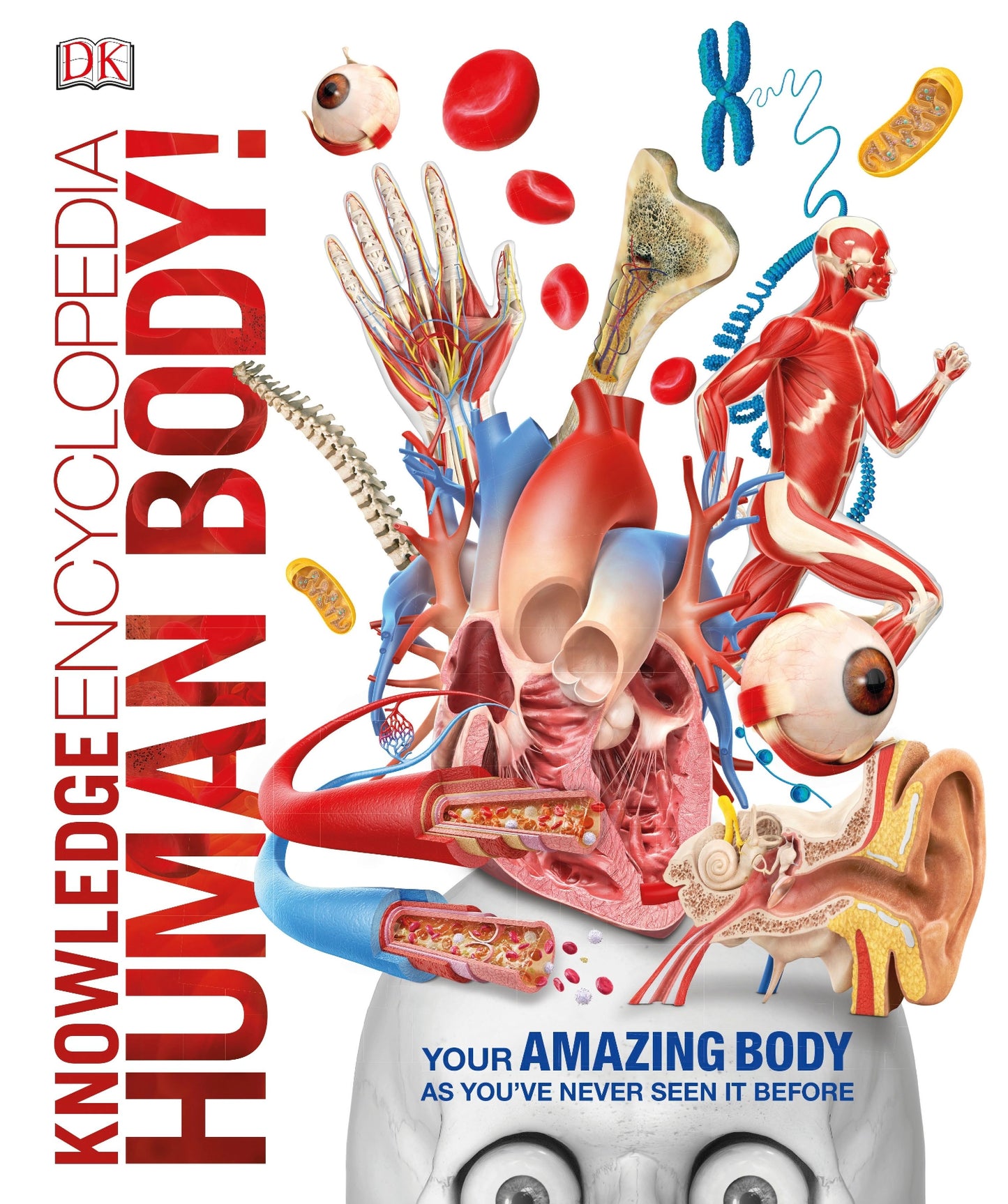 Knowledge Encyclopedia, Human Body image 0