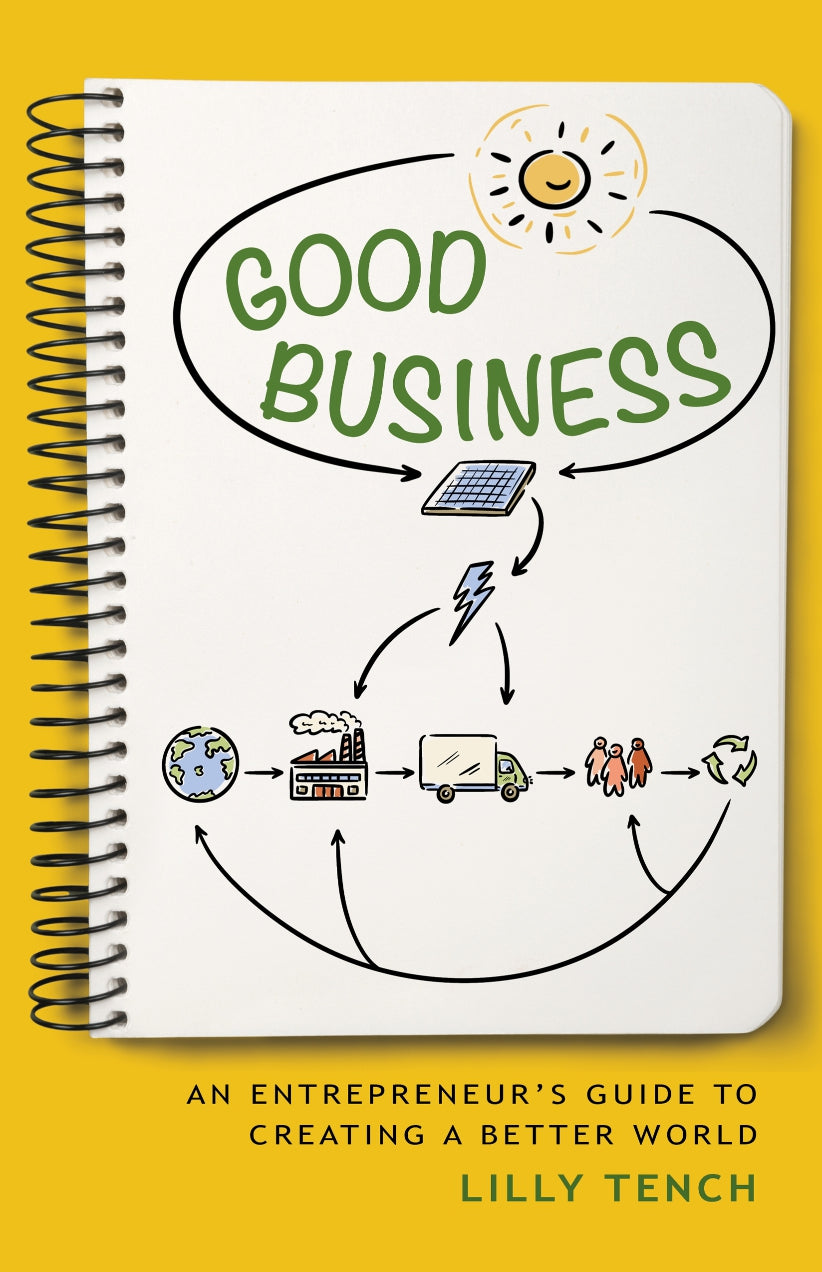 Good Business, An Entrepreneur’s Guide to Creating a Better World image 0