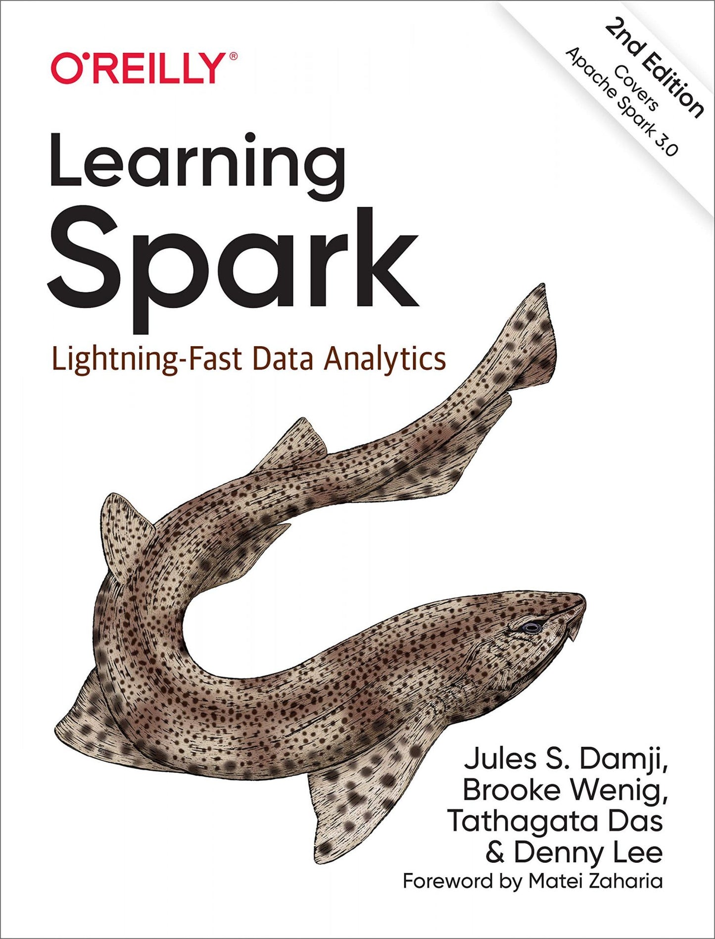 Learning Spark image 0