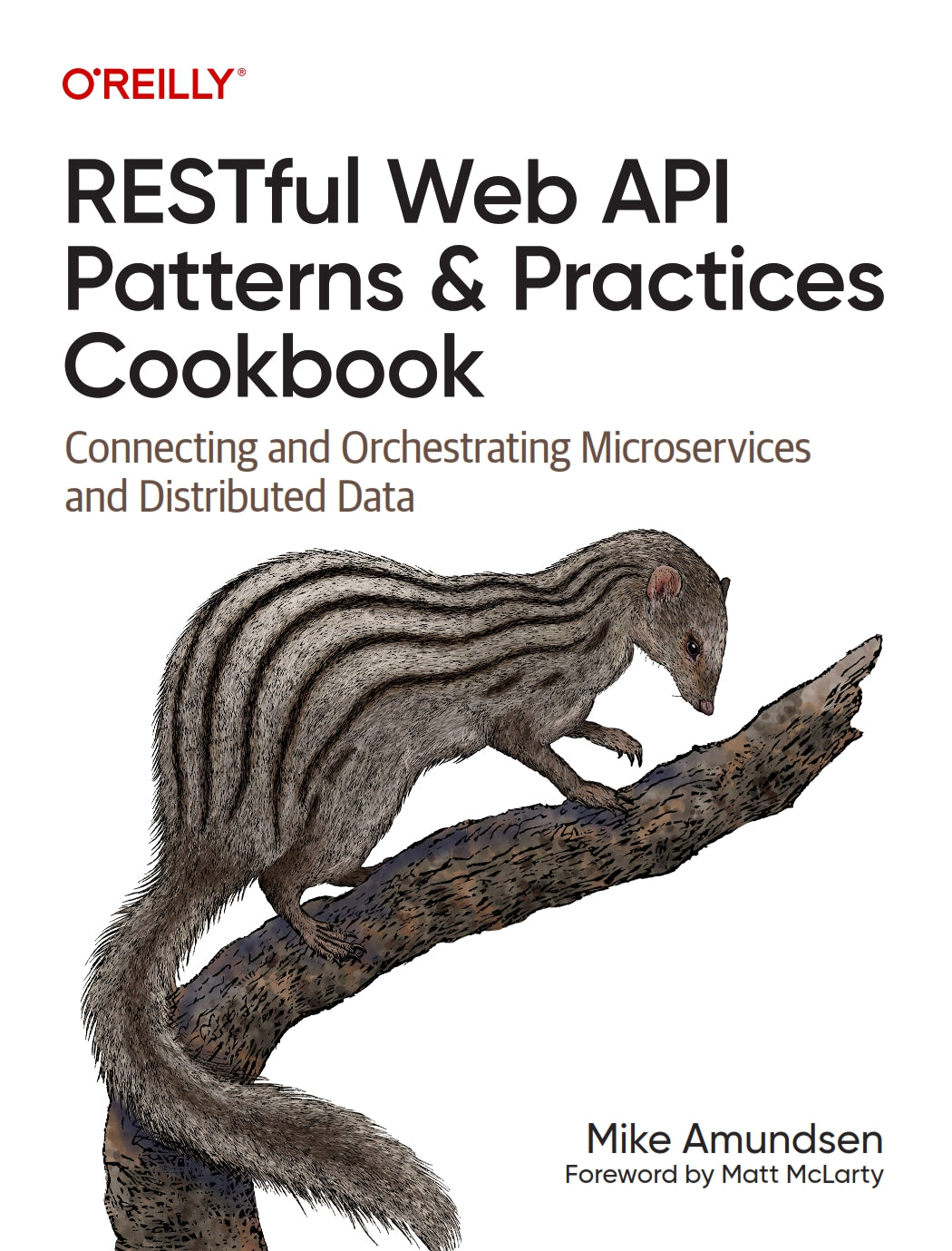 RESTful Web API Patterns and Practices Cookbook image 0