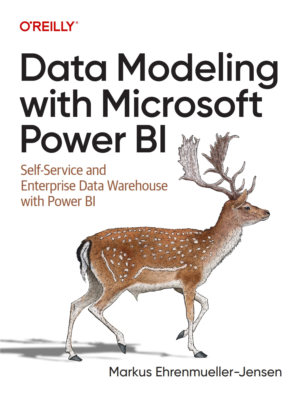 Data Modeling with Microsoft Power BI image 0