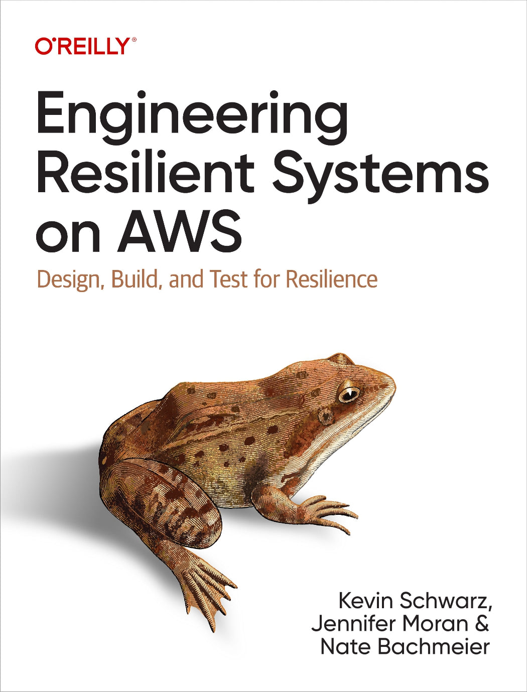 Engineering Resilient Systems on AWS image 0