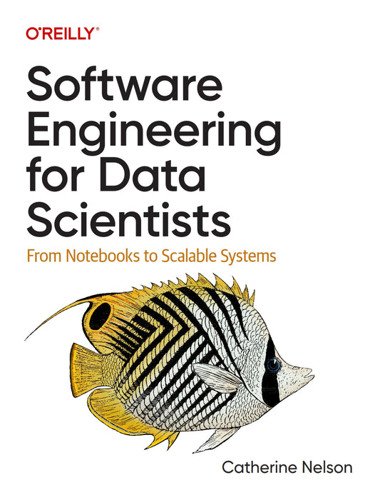 Software Engineering for Data Scientists image 0