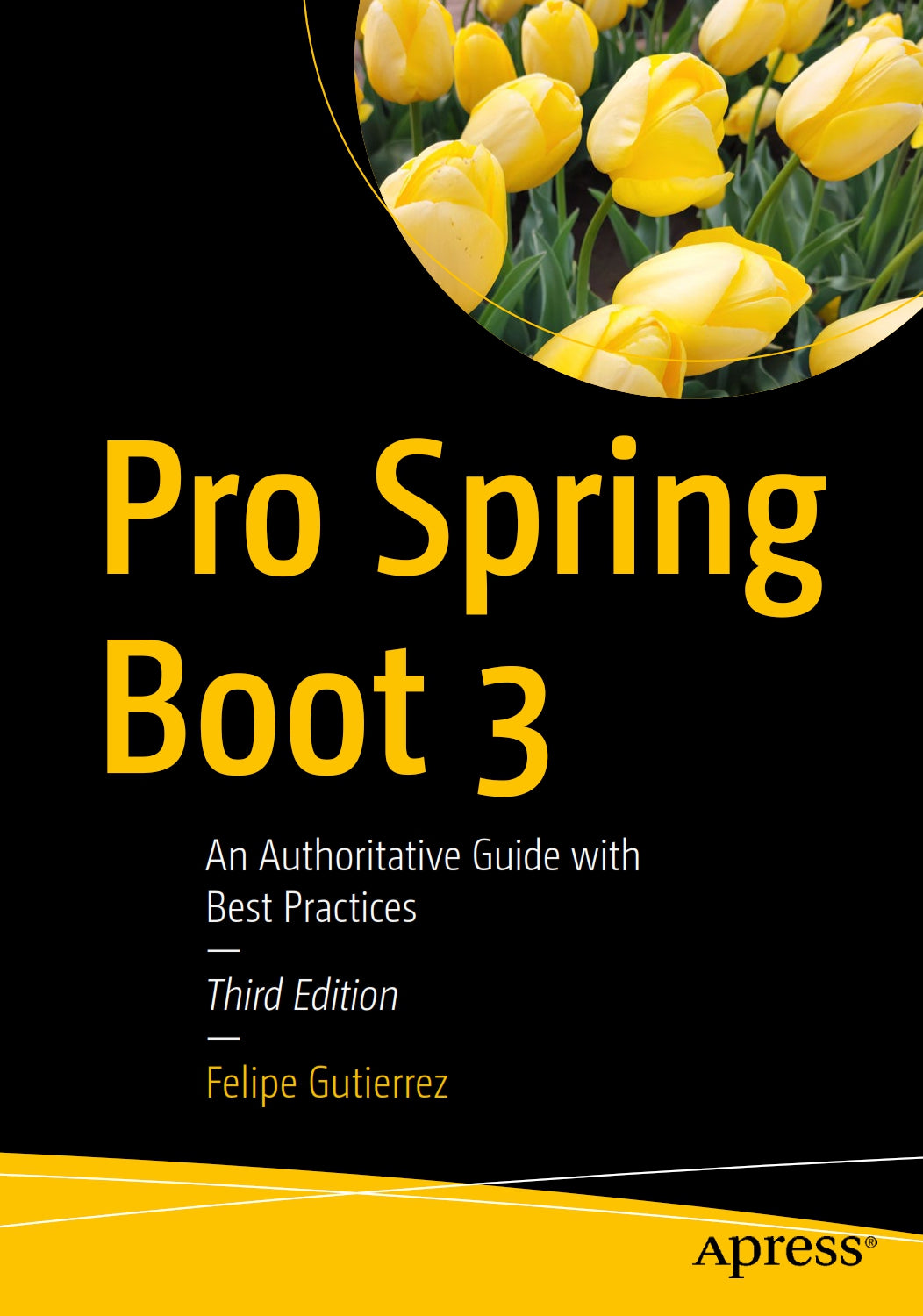 Pro Spring Boot 3 image 0