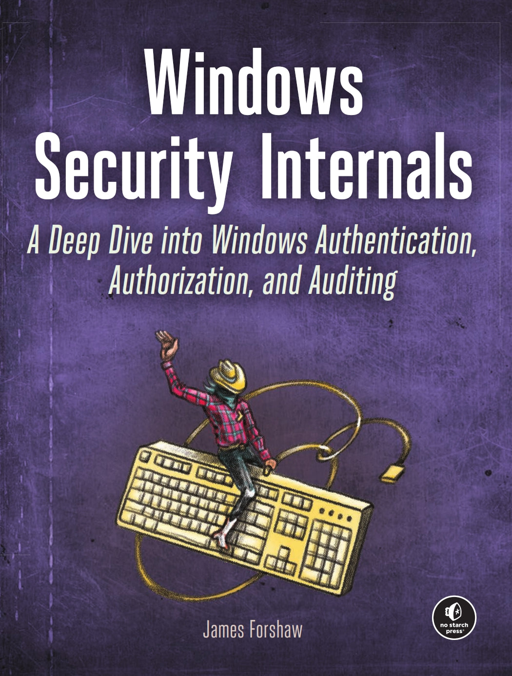 Windows Security Internals image 0