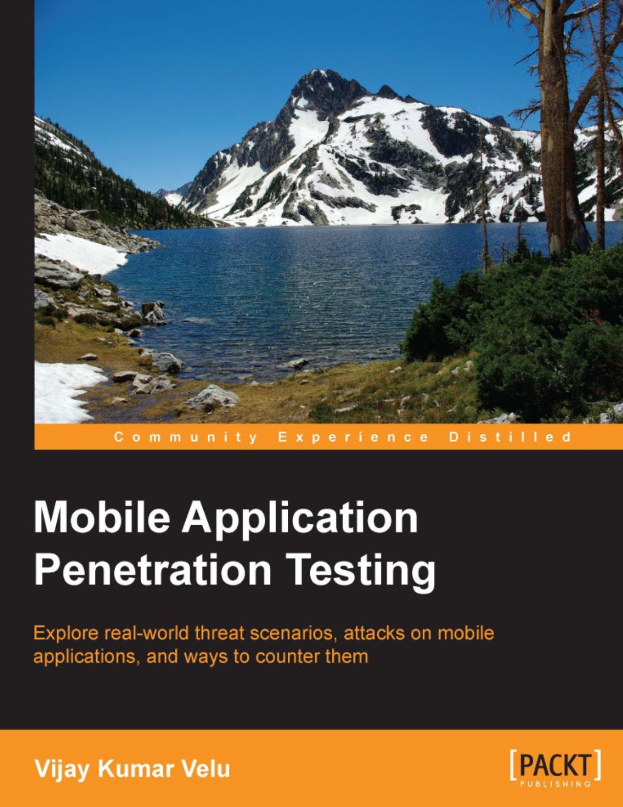 Mobile Application Penetration Testing image 0