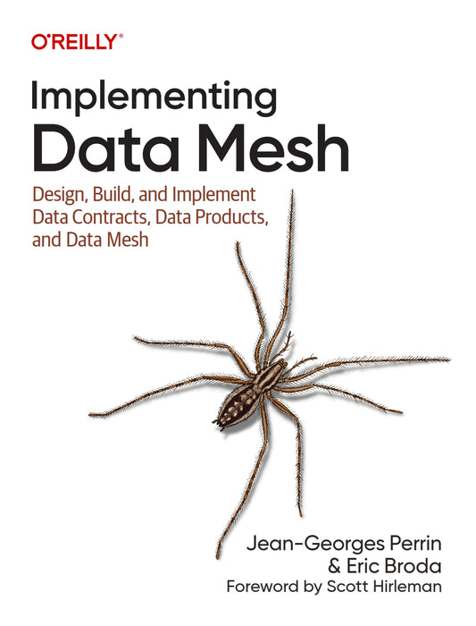 Implementing Data Mesh image 0
