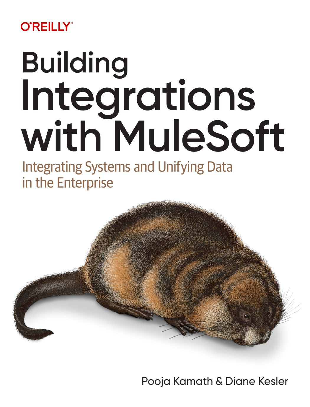 Building Integrations with MuleSoft image 0