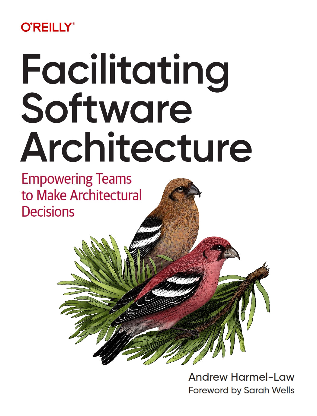 Facilitating Software Architecture image 0