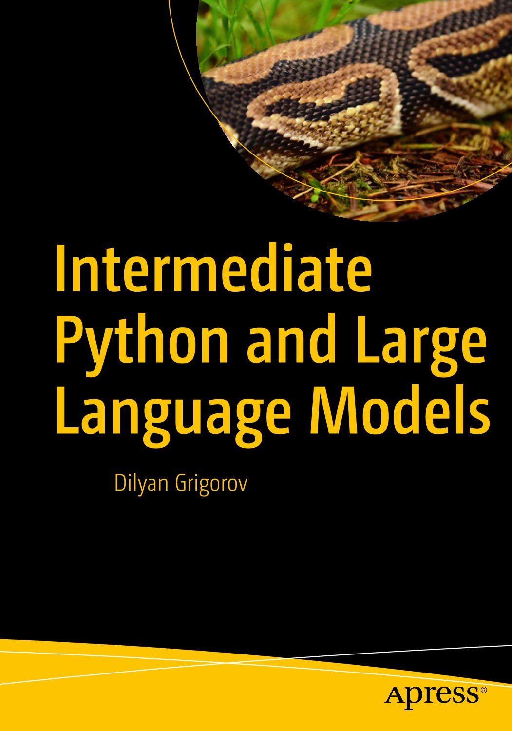 Intermediate Python and Large Language Models image 0