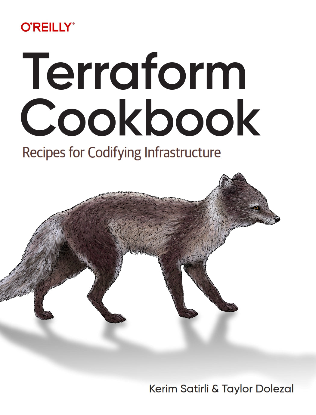 Terraform Cookbook, Recipes for Codifying Infrastructure image 0