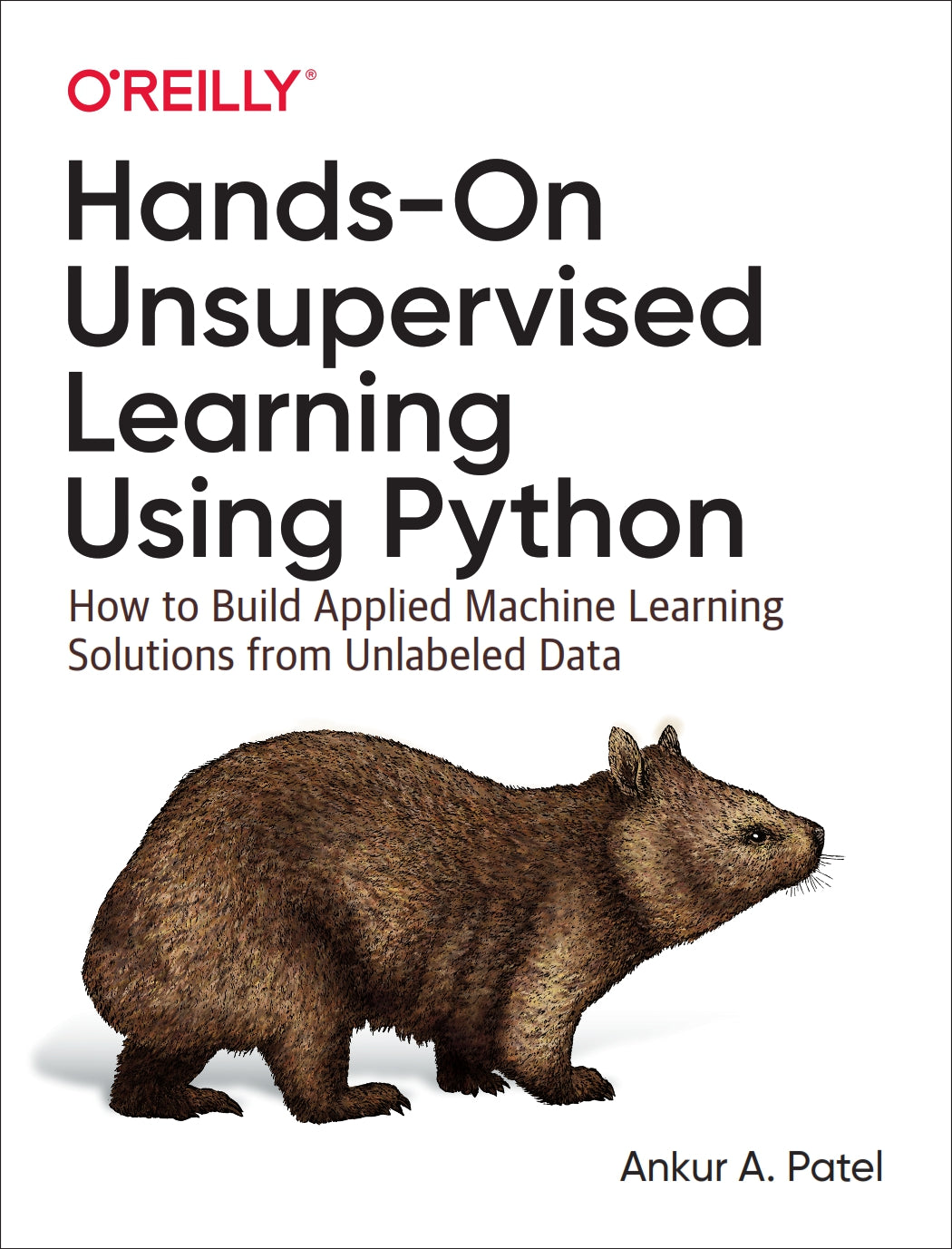 Hands-On Unsupervised Learning Using Python image 0