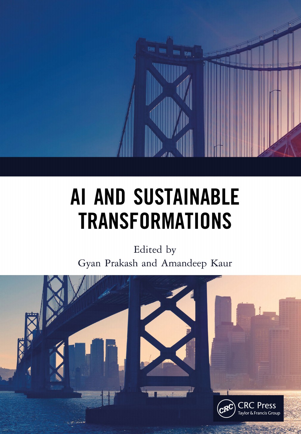 AI and Sustainable Transformations image 0