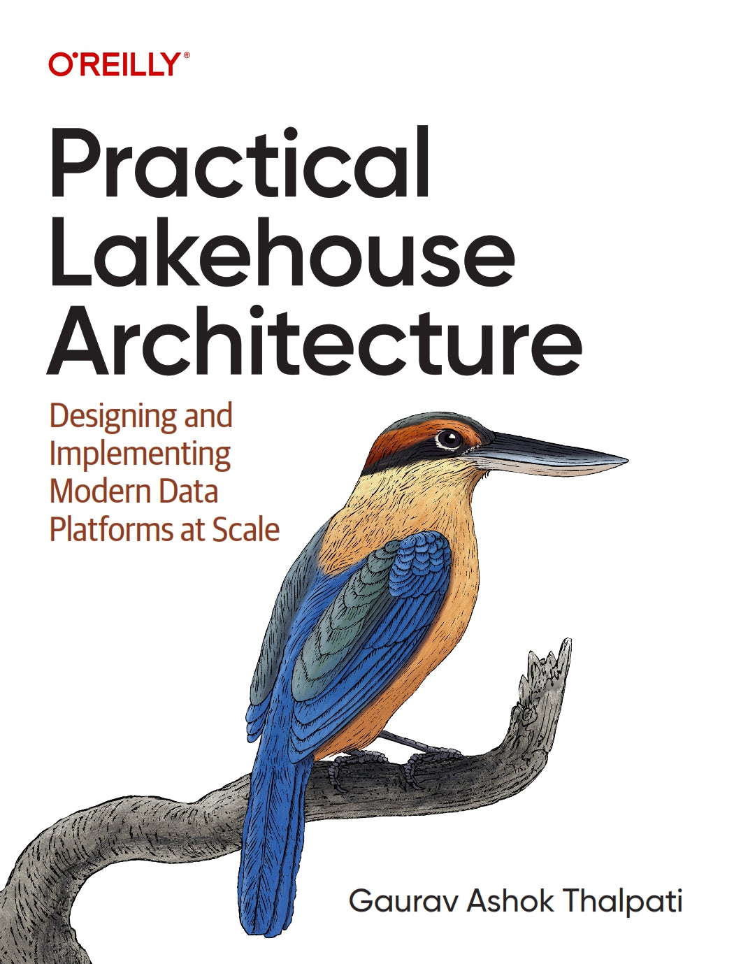 Practical Lakehouse Architecture image 0